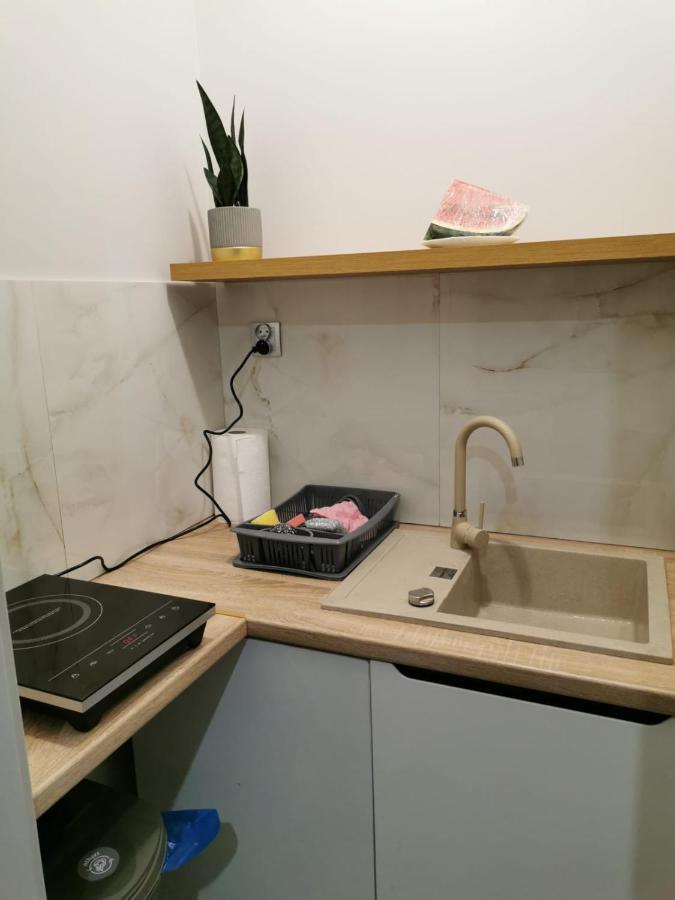 Apartamenty U Maksa Przemysl Przemyśl Exterior foto
